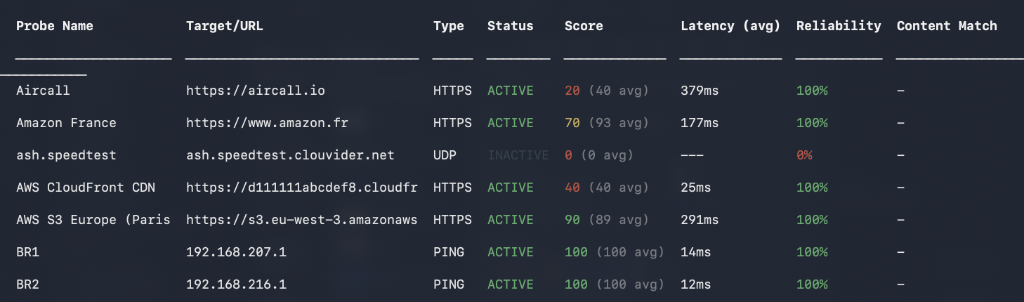 CLI Synthetic Monitoring DEM Probes